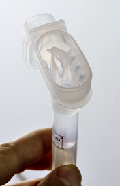 dna saliva oragene