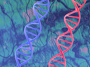 7 Simple Steps to Maximize DNA Yield with Oragene•DNA