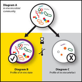 OMNIgene-GUT-blog-graphic-1