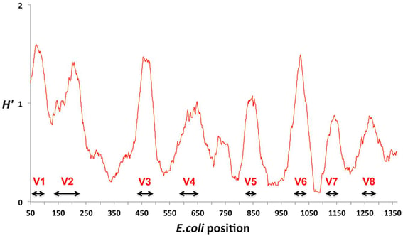 Figure2BlogSequencing.jpg