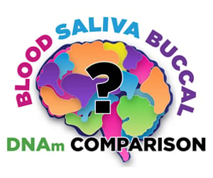 methylation brain DNA